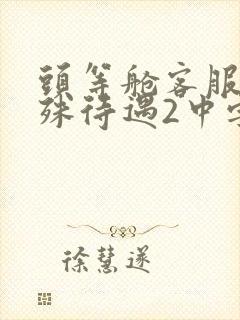 头等舱客服的特殊待遇2中字