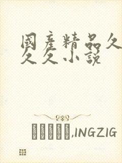 国产精品久久久久久小说