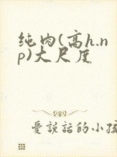 纯肉(高h.np)大尺度