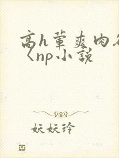 高h荤爽肉欲文〈np小说