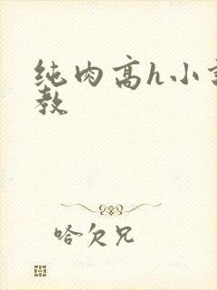 纯肉高h小说调教
