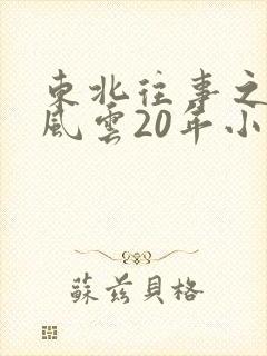 东北往事之黑道风云20年小说