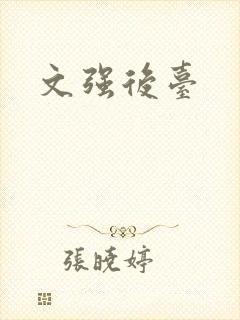 文强后台