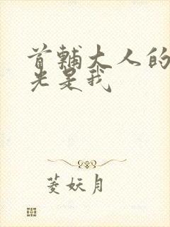 首辅大人的白月光是我