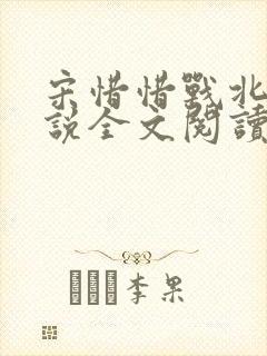 宋惜惜战北望小说全文阅读