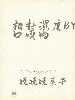 相对湿度BY大口吃肉