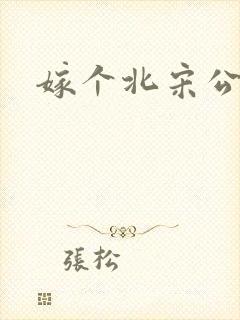 嫁个北宋公务员