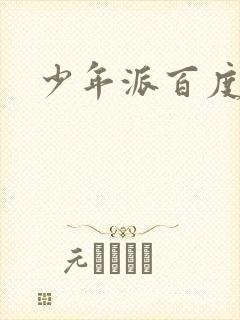 少年派百度百科