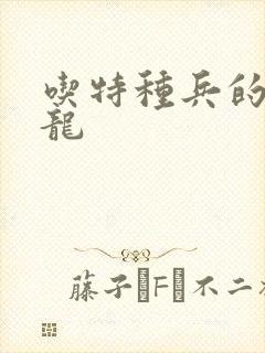 吃特种兵的大黑龙