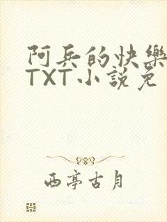 阿兵的快乐生活TXT小说免费阅读全章封面