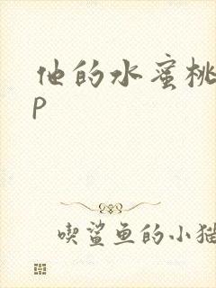 他的水蜜桃pop封面