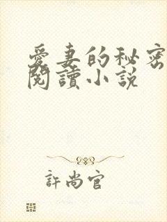 爱妻的秘密全文阅读小说封面