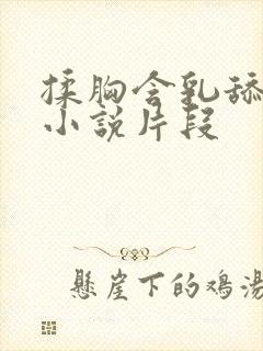 揉胸含乳舔下面小说片段