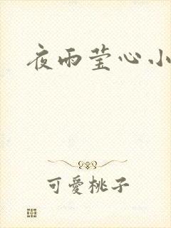 夜雨莹心小说