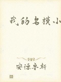 我的名模小娇妻