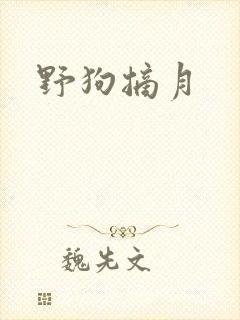 野狗摘月封面