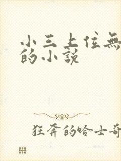 小三上位无三观的小说