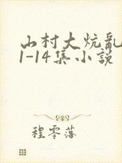 山村大炕乱肉续1-14集小说