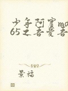 少年阿宾md165之吾爱吾师