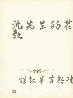 沈先生的花式管教