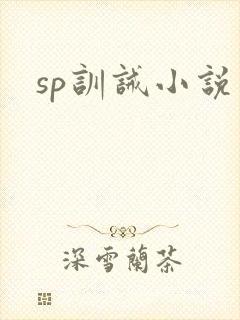 sp训诫小说