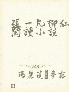 张一凡柳红免费阅读小说封面