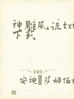 神雕风流txt下载