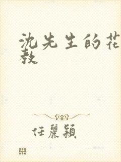 沈先生的花式调教