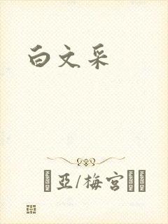 白文采