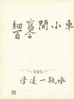 细写开小车车的百合封面