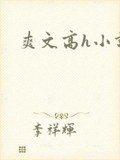爽文高h小说
