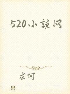 520小说网