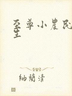 至尊小农民王木生