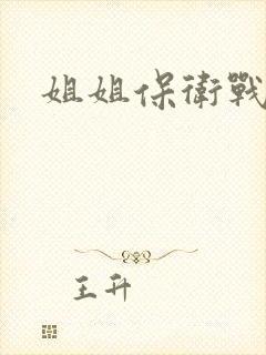 姐姐保卫战封面