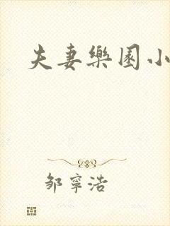 夫妻乐园小说封面