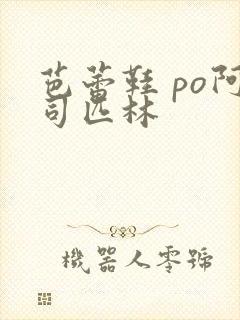 芭蕾鞋 po阿司匹林