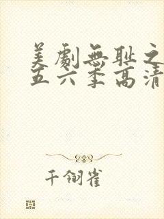 美剧无耻之徒第五六季高清封面