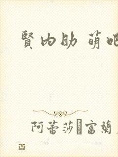 贤内助 萌吧啦封面