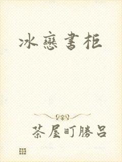 冰恋书柜封面