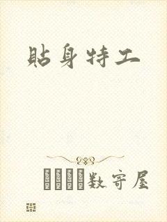 贴身特工