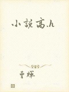 小说高.h封面