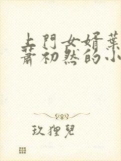 上门女婿叶辰和萧初然的小说最新章节