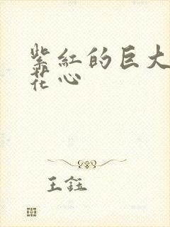 紫红的巨大顶开花心