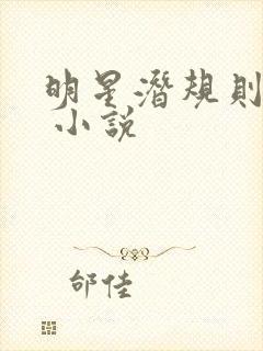 明星潜规则之皇 小说