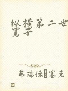 纵横第二世界 宽子