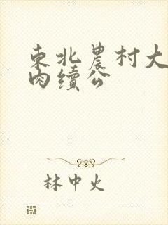 东北农村大炕乱肉续公封面