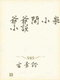 爷爷开小米的包小说