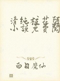 清纯校花堕落记小说免费阅读