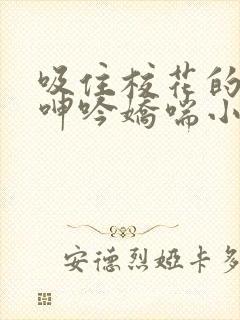 吸住校花的奶头呻吟娇喘小说