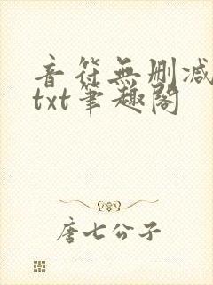 音符无删减全文txt笔趣阁